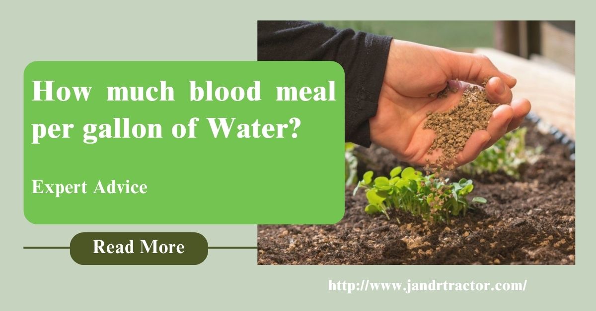 How much blood meal per gallon of water 12