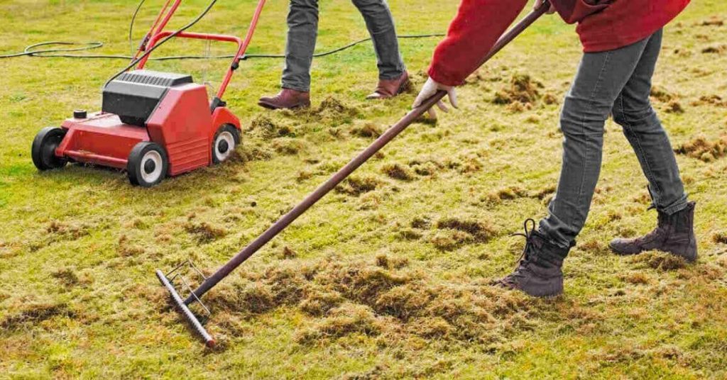 Will dethatching remove weeds 16