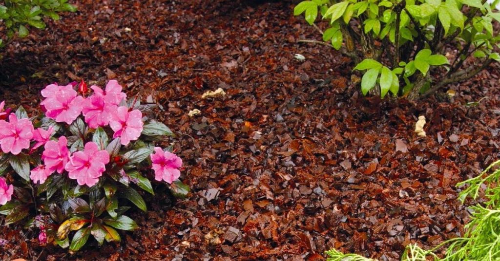 How deep should Mulch be to prevent Weeds 12