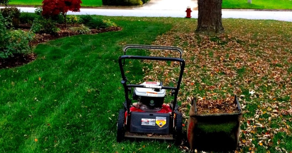 Is Mulching leaves good for your Lawn 19