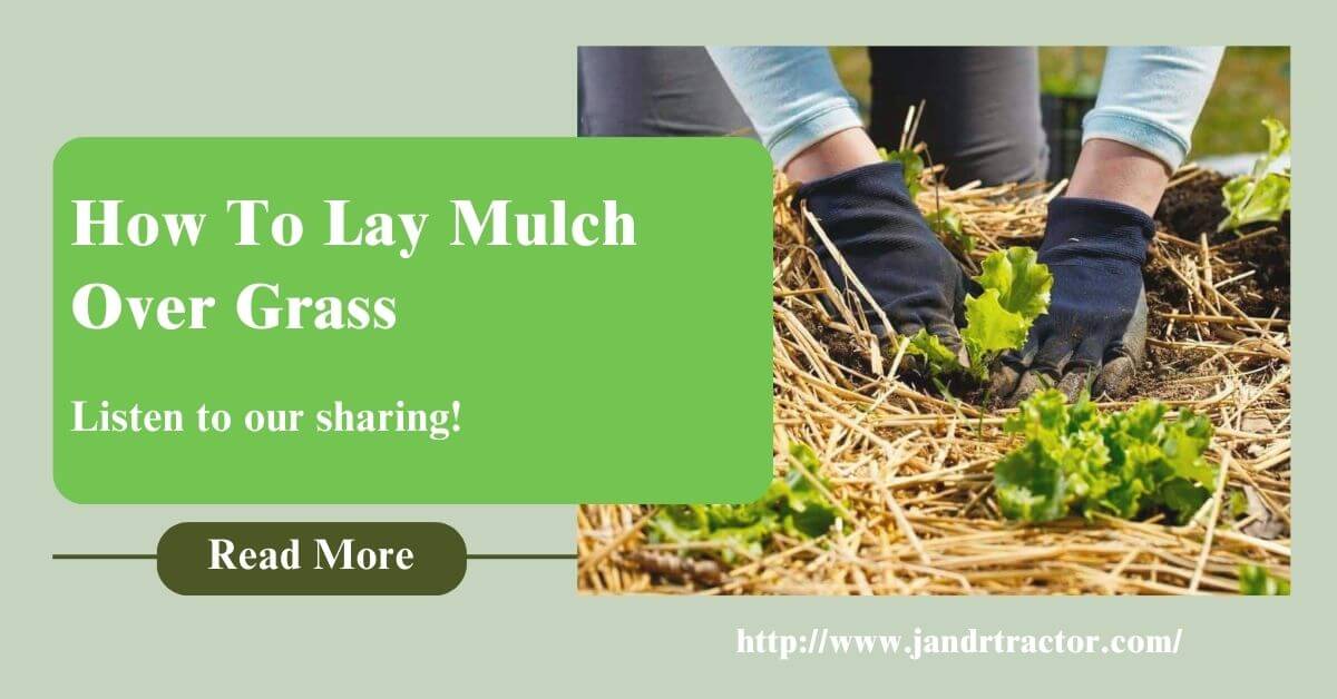 How to Lay Mulch Over Grass 14
