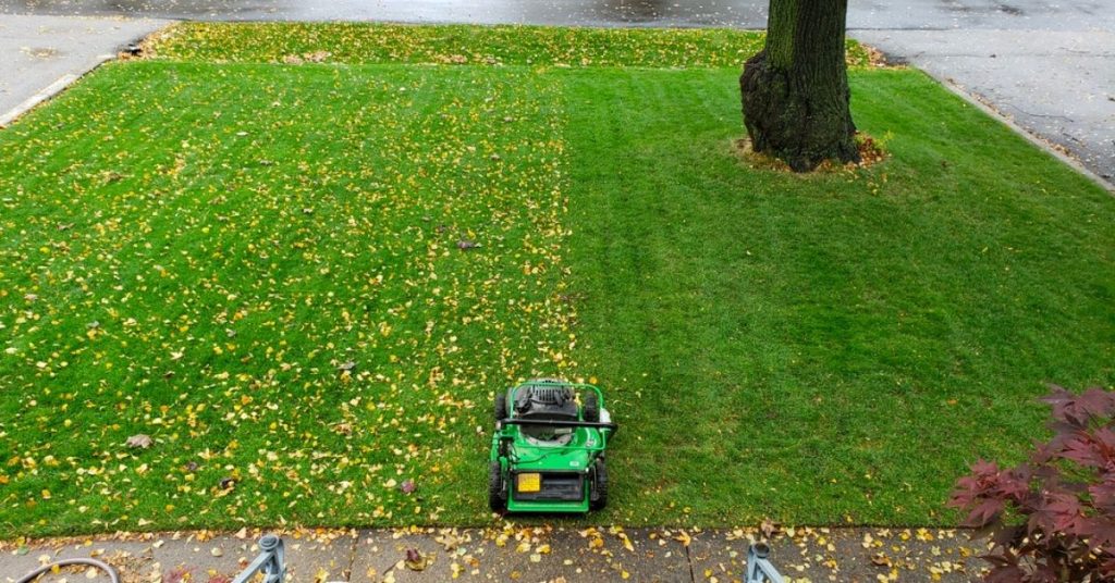 Is Mulching leaves good for your Lawn 18