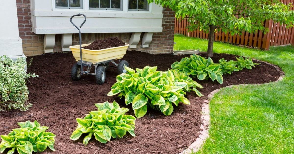 How to Lay Mulch Over Grass 22