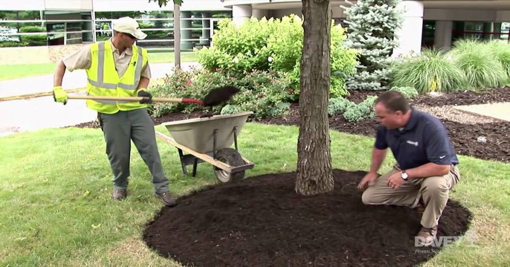 How to Lay Mulch Over Old Mulch 13